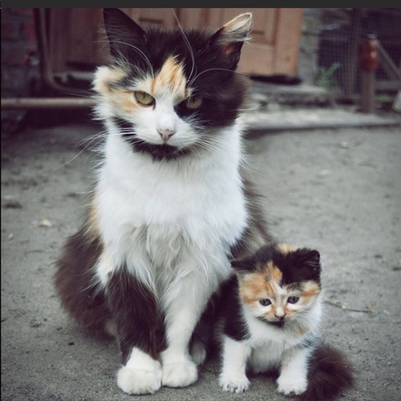 Welcome💕 - Picture 6 of 12